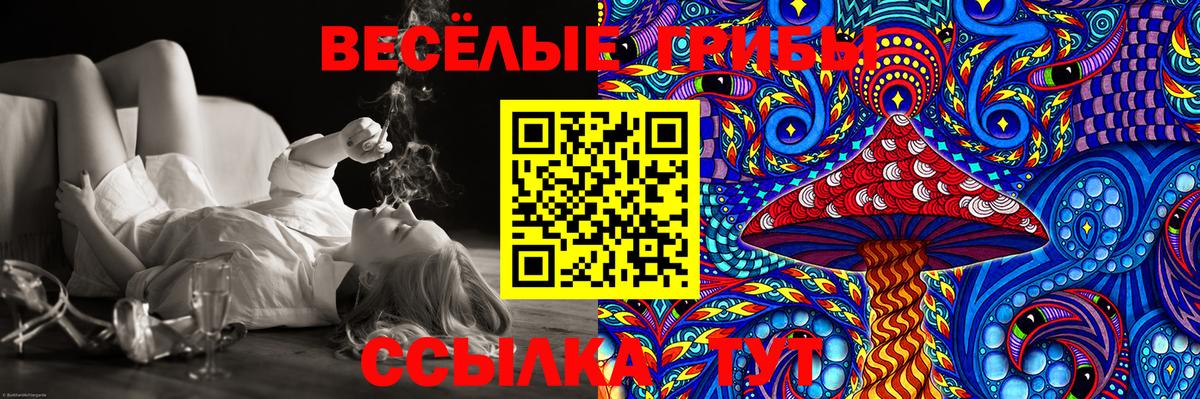 Ахтубинск  Галлюциногенные грибы GOLDEN TEACHER  Вход с VPN 